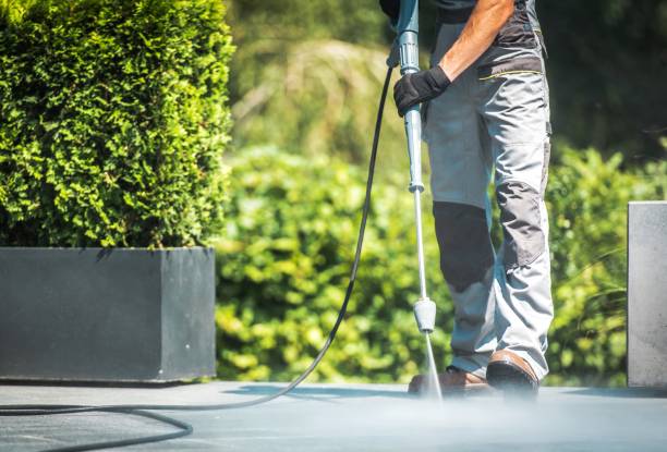 Best Driveway Cleaning and Restoration in Iowa Park, TX
