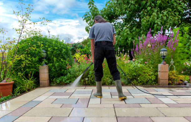 Best Fence Cleaning and Maintenance in Iowa Park, TX